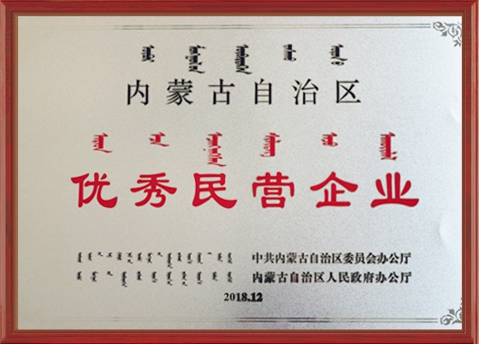 優(yōu)秀民營(yíng)企業(yè)